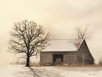 Winter Shadows Fine Art Print