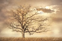 Golden Tree Fine Art Print