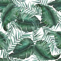 Monstea Leaves Pattern Fine Art Print