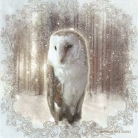 Enchanted Winter Owl Fine Art Print