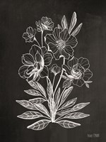 Vintage Chalkboard Flowers Fine Art Print
