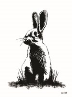 Farmhouse Rabbit Fine Art Print