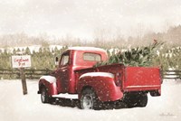Christmas Tree Pick Fine Art Print