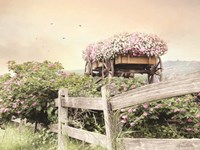 Flower Wagon Fine Art Print