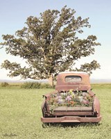 Field of Dreams Fine Art Print