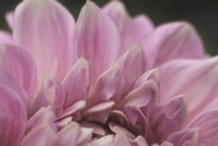 A Fresh Start Fine Art Print