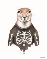 Xerus in an Xray Shirt Fine Art Print