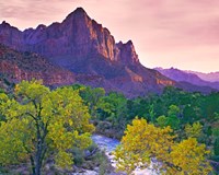 Utah, Zion National Park The Watchman Formation And The Virgin River In Autumn Fine Art Print