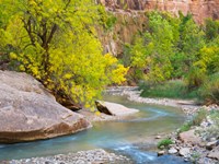 Utah Zion National Park, Virgin River Fine Art Print