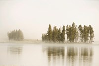 Morning Fog Along The Yellowstone River In Yellowstone National Park Fine Art Print