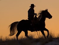 Cowboy Riding His Horse Winters Snow Silhouetted At Sunset Fine Art Print