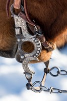 Close-Up Of Bridal And Bit With Silver Work Fine Art Print