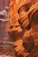 Buckskin Gulch III Fine Art Print