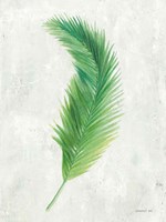 Palms of the Tropics VI Fine Art Print