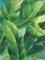 Palms of the Tropics II Fine Art Print