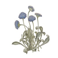 Monument Etching Tile Flowers IX Fine Art Print