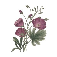 Monument Etching Tile Flowers III Fine Art Print