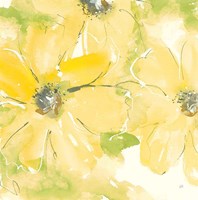 Sunshine Cosmos II v2 Fine Art Print