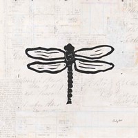 Dragonfly Stamp BW Fine Art Print