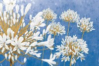 Golden Spring Blue Fine Art Print