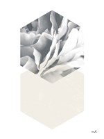 Blossoms IV v2 Fine Art Print