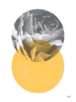 Blossoms I v2 Fine Art Print