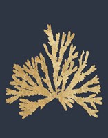 Pacific Sea Mosses IV Indigo Fine Art Print