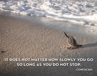 Do Not stop Fine Art Print