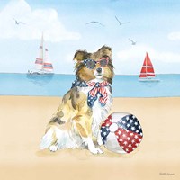Summer Paws Patriotic V Fine Art Print
