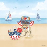 Summer Paws Patriotic IV Framed Print