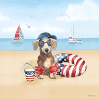 Summer Paws Patriotic III Fine Art Print