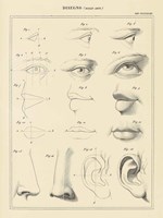 Face Chart Fine Art Print