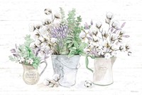 Farmhouse Cotton I Sage Fine Art Print