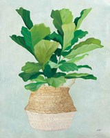 Woven Palm II Fine Art Print