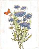 White Barn Flowers IX Fine Art Print