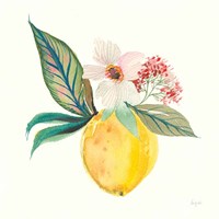 Citrus Summer IV Fine Art Print