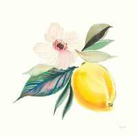 Citrus Summer III Fine Art Print