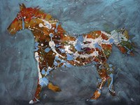 Speckled Pony Fine Art Print