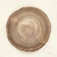 Through The Years II Fine Art Print