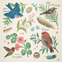 Bird Study III Fine Art Print