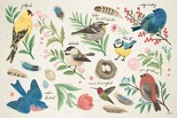 Bird Study I Fine Art Print