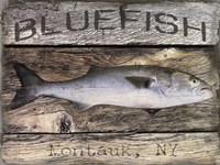 Bluefish Fine Art Print