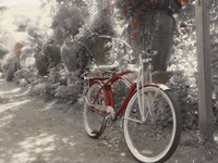 Garden Bike Red Fine Art Print