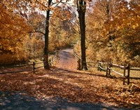 1960s AUTUMN TRAIL PARK PATH WISCONSIN Fine Art Print