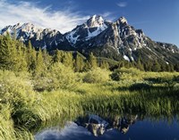 Mcgowan PEAK CHALLIS NAT'L FOREST IDAHO Fine Art Print