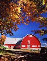 Big Red Barn Autumn Farm Scenic Fine Art Print