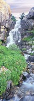 View Of Waterfall Comes Into Rocky River, Broken Falls, Wyoming Fine Art Print