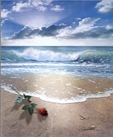 Gift From Sea Fine Art Print