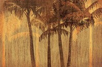 Sunset Palms III Fine Art Print