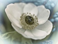 Inspired Fine Art Print